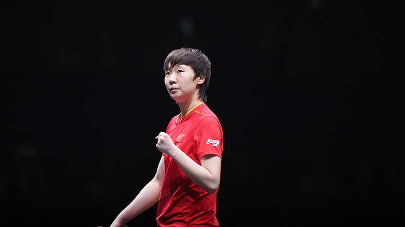 致敬，都柏林动物园将一只极度濒危的鹦鹉取名特洛伊-帕罗特